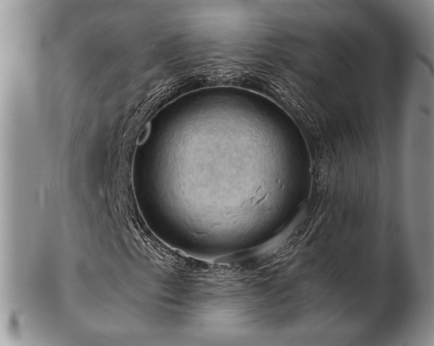 X0000103141153200808221210