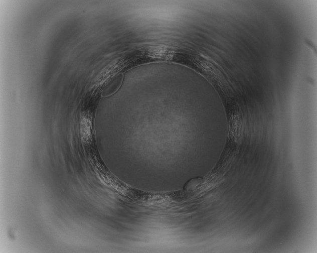 X0000103141154200808221210