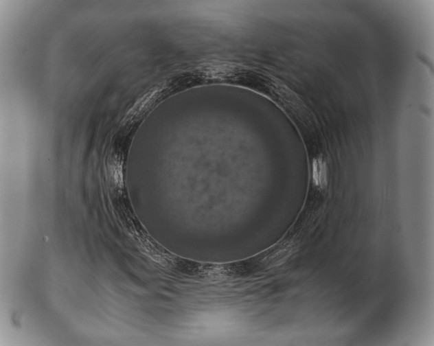 X0000103141155200808221210