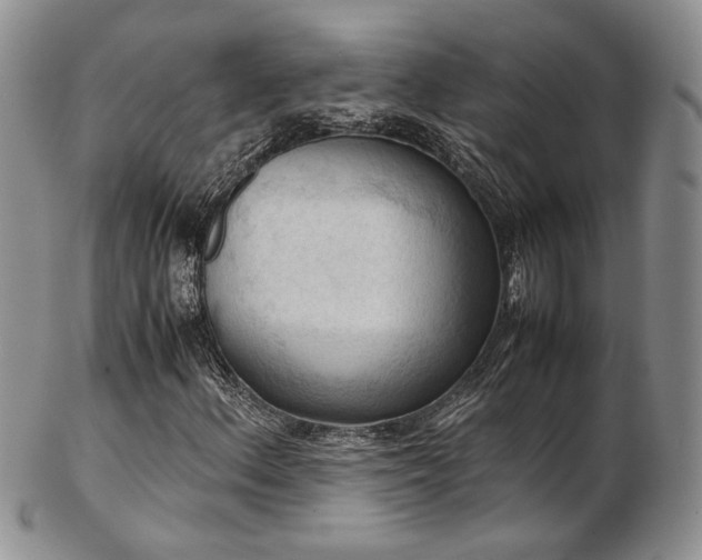 X0000103141156200808221210