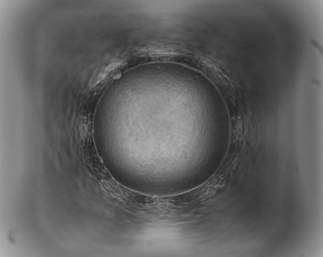 X0000103141157200808221210