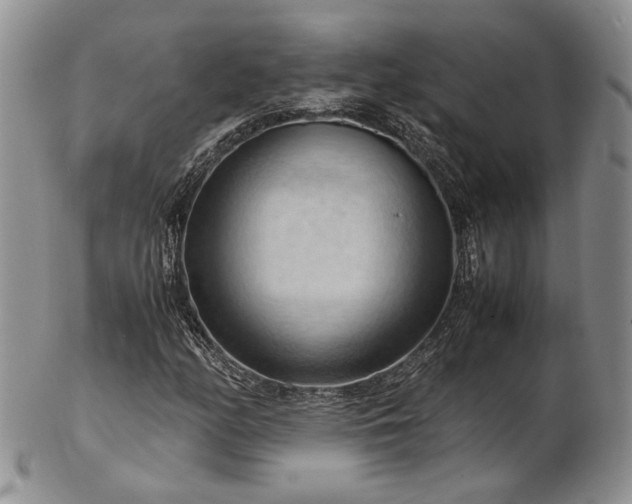 X0000103141158200808221210