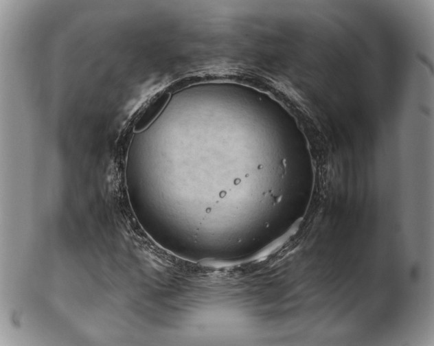 X0000103141160200808221210