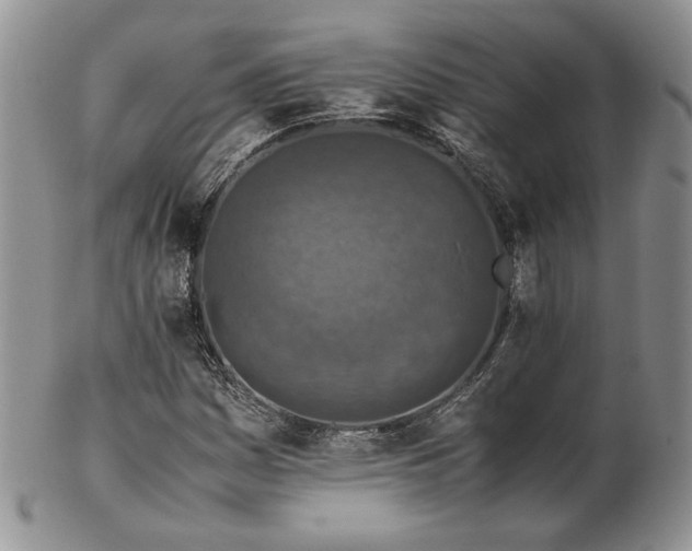 X0000103141161200808221209