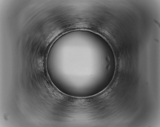 X0000103141162200808221209