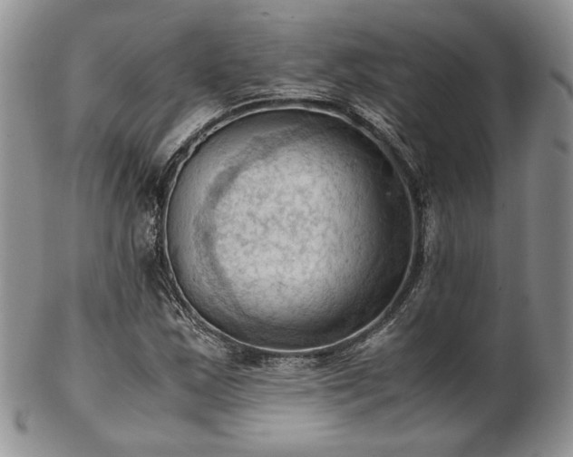 X0000103141163200808221209