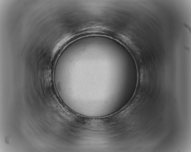 X0000103141164200808221209