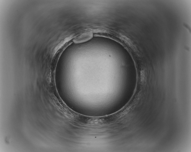 X0000103141165200808221209