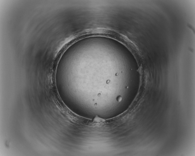 X0000103141166200808221209