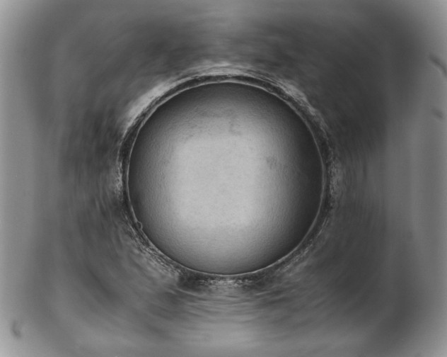 X0000103141167200808221209