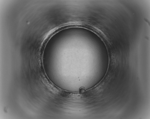 X0000103141168200808221209