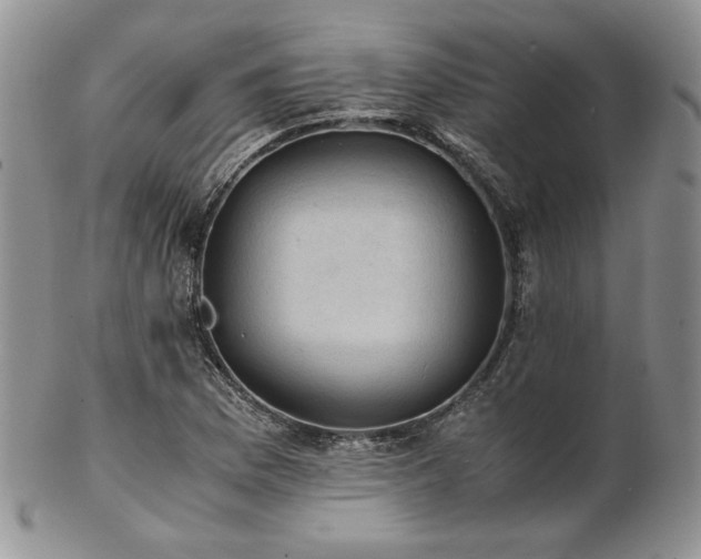 X0000103141169200808221209