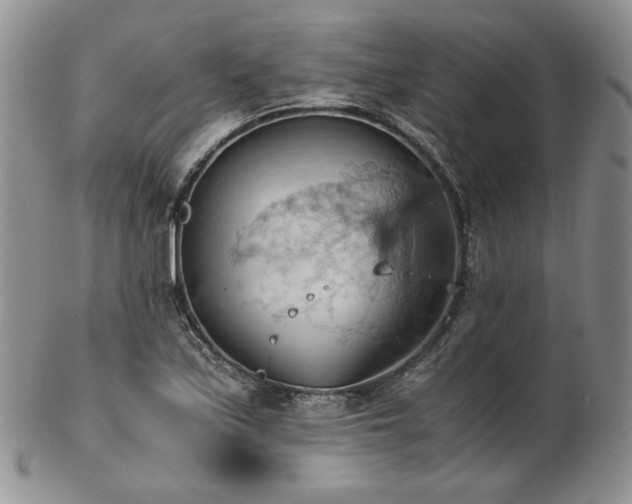 X0000103141171200808221209