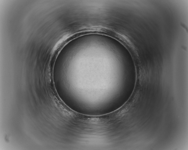 X0000103141172200808221209