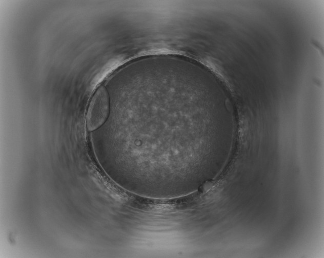 X0000103141173200808221209