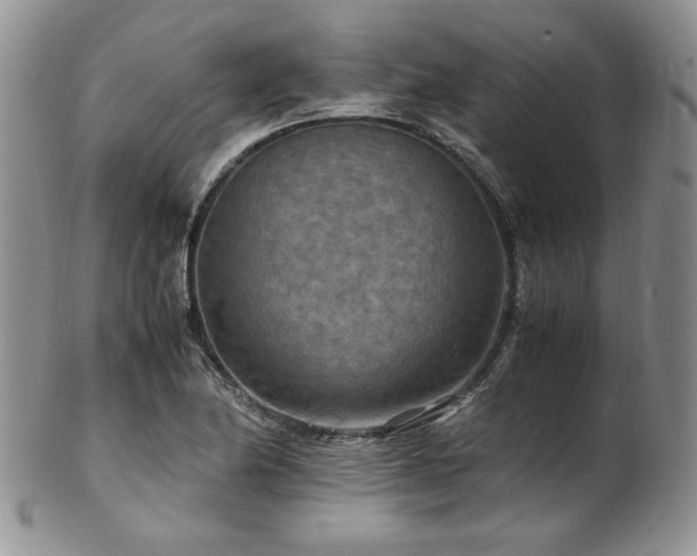 X0000103141174200808221209