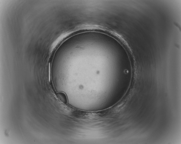 X0000103141175200808221209