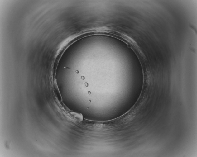 X0000103141176200808221209