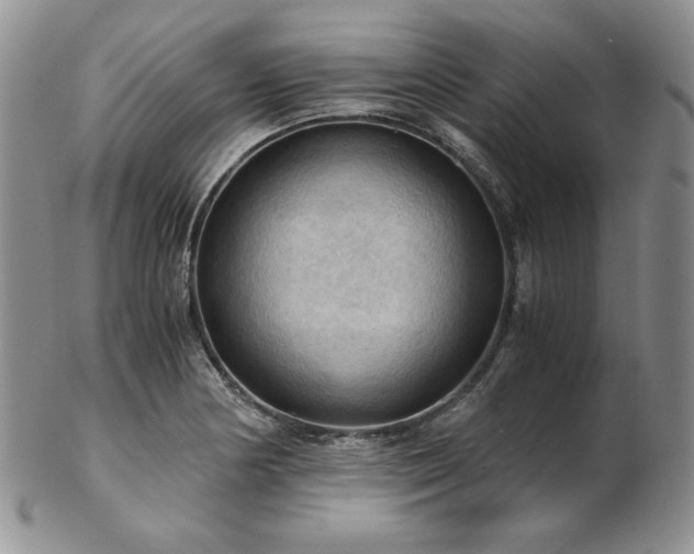 X0000103141178200808221209