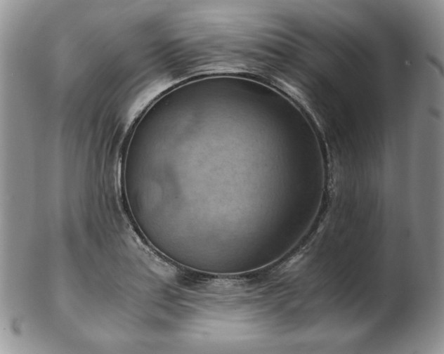 X0000103141179200808221209