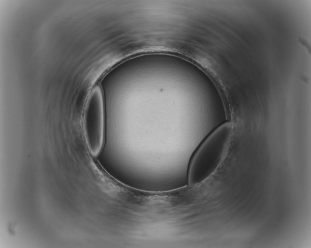 X0000103141181200808221209