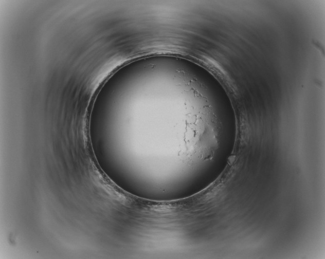 X0000103141182200808221209