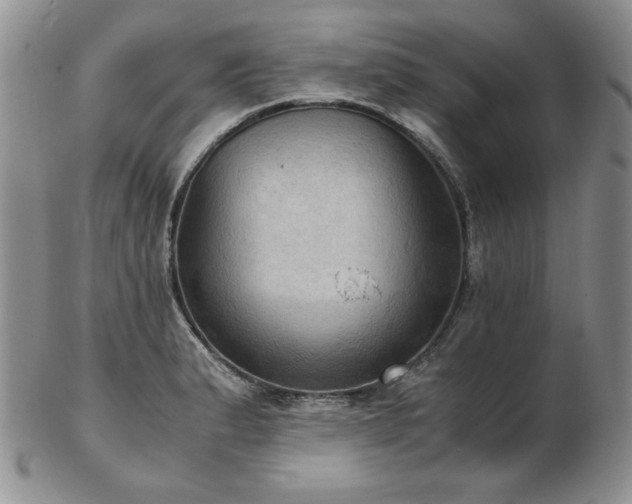 X0000103141183200808221209