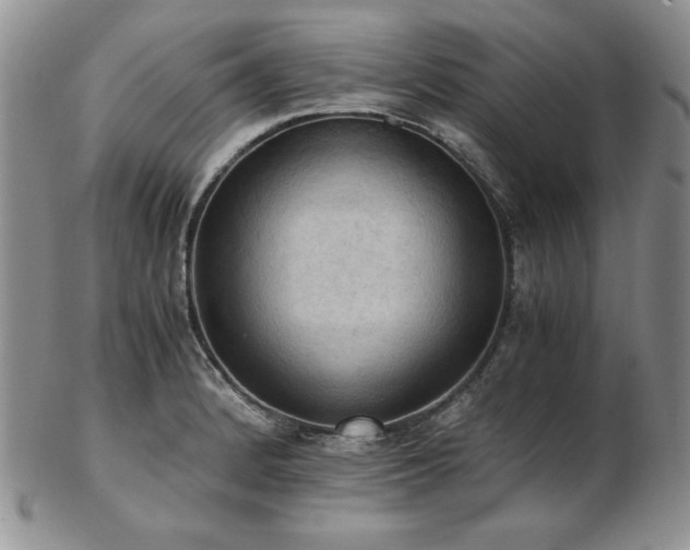 X0000103141184200808221209