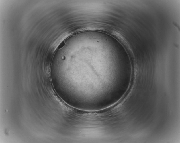 X0000103141185200808221209