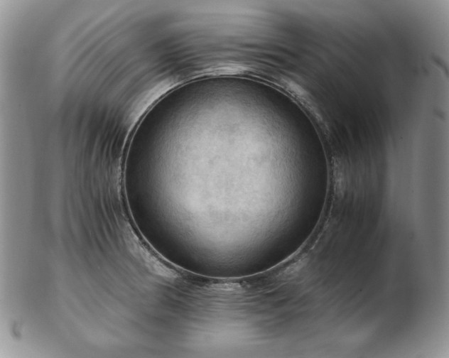 X0000103141186200808221209