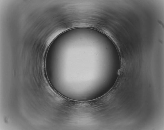 X0000103141187200808221209