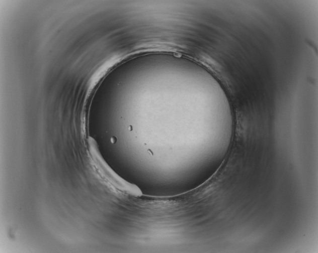 X0000103141188200808221209