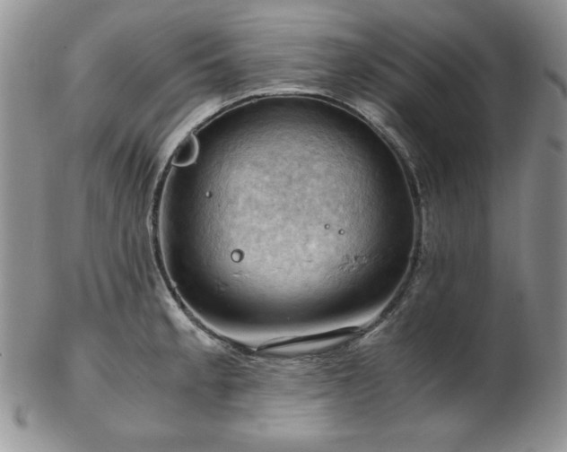 X0000103141189200808221209