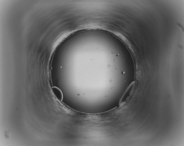 X0000103141191200808221209