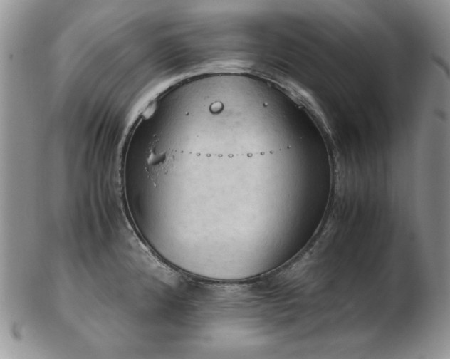 X0000103141192200808221209