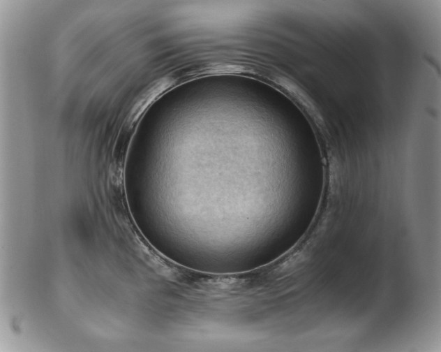 X0000103141193200808221209