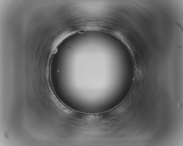 X0000103141195200808221209