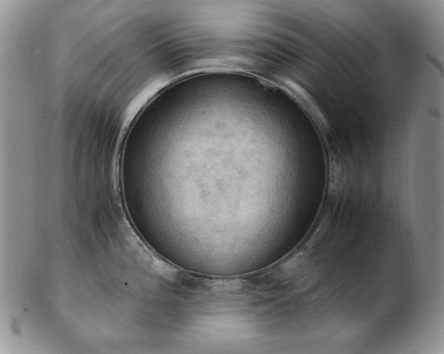 X0000103141196200808221209