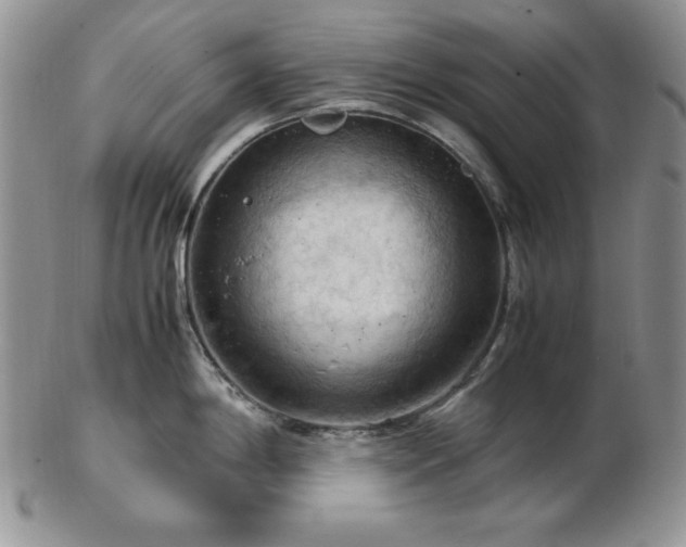 X0000103141198200808221209