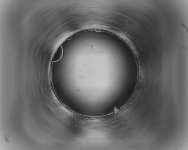 X0000103141199200808221209