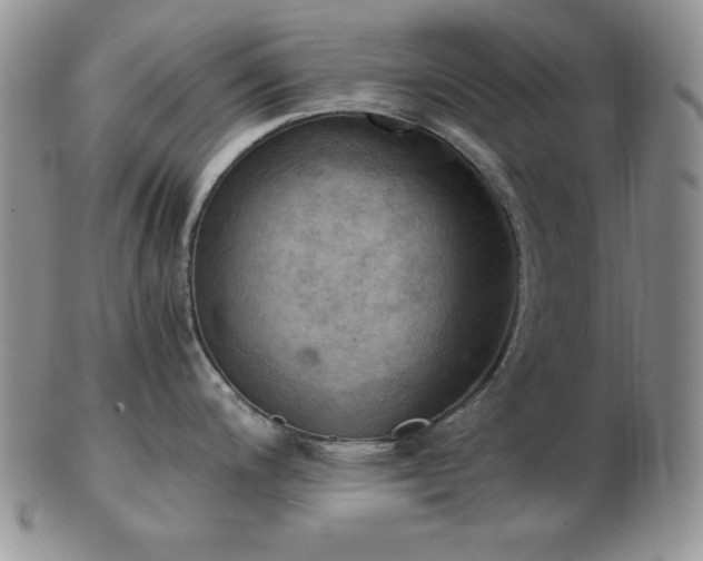 X0000103141200200808221209