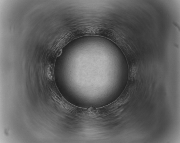 X0000103141202200808221208