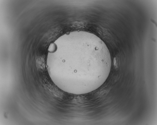 X0000103141203200808221208