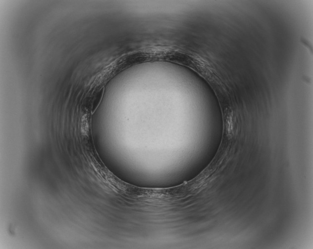 X0000103141204200808221208