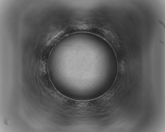 X0000103141205200808221208