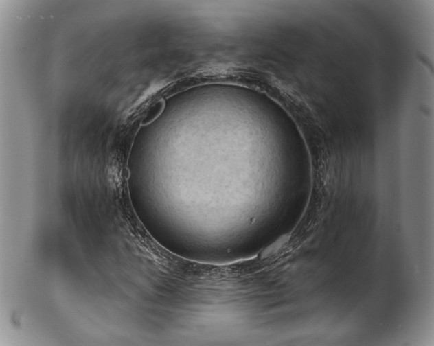 X0000103141206200808221208