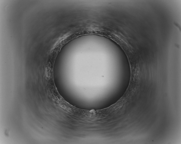 X0000103141207200808221208