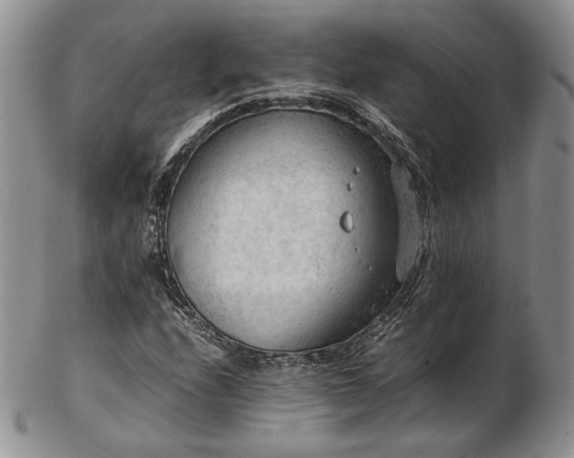 X0000103141208200808221208