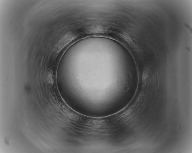 X0000103141209200808221208