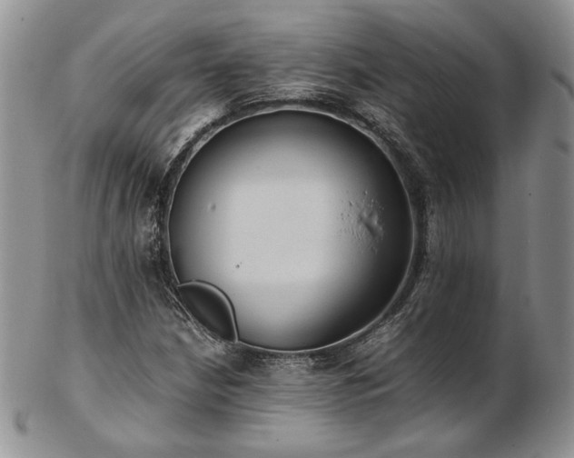 X0000103141210200808221208